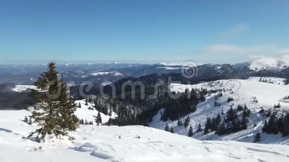 罗马尼亚Ciucas山脉冬季景观视频的预览图
