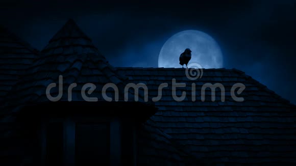 乌鸦在哥特式屋顶在夜晚视频的预览图