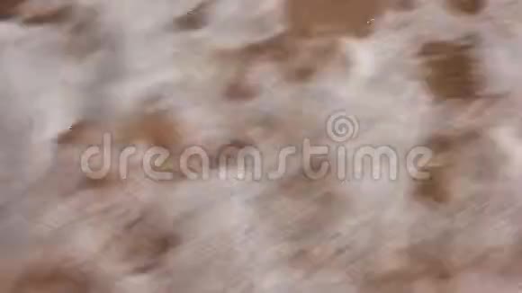 浪在沙2上视频的预览图