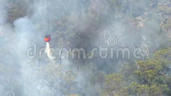 在森林里的火焰烟雾被浇上水视频的预览图