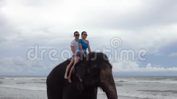 快乐的一对年轻夫妇正骑在一头大象身上大象的躯干在热带海洋的背景上视频的预览图