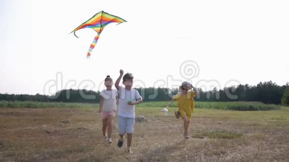 快乐的童年快乐的朋友孩子们在天空中一边放风筝一边四处奔跑一边在大自然中放松视频的预览图