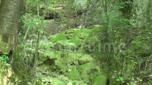 山上有草的岩石视频的预览图