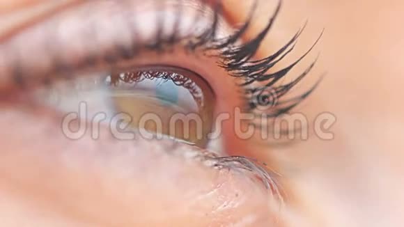 棕色女性眼睛宏观视频的预览图
