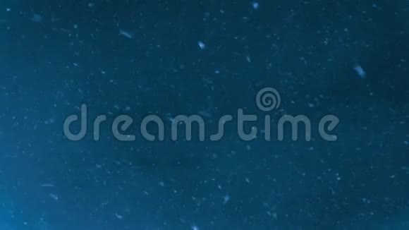 冬天雪花在漆黑的夜空中飞舞蓝雪背景视频的预览图