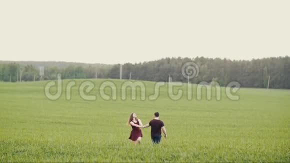 爱的人手牵着手亲吻着他们在燕麦地里行走相爱的幸福夫妻森林的背景慢节奏视频的预览图