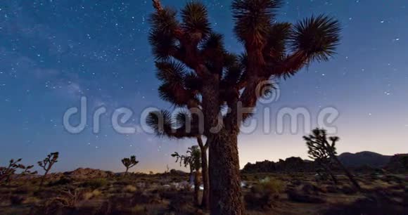 夜空银河约书亚树景视频的预览图