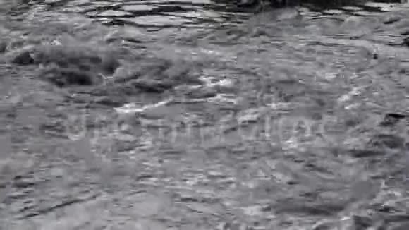 肮脏的雨水视频的预览图