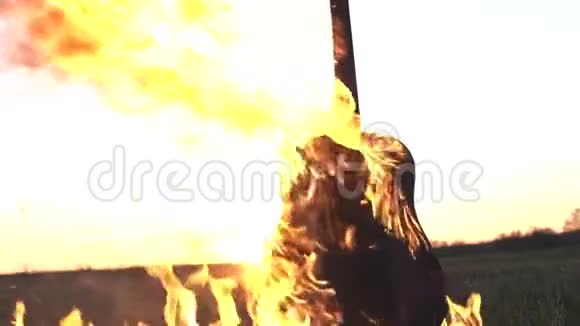 在火中燃烧的吉他视频的预览图