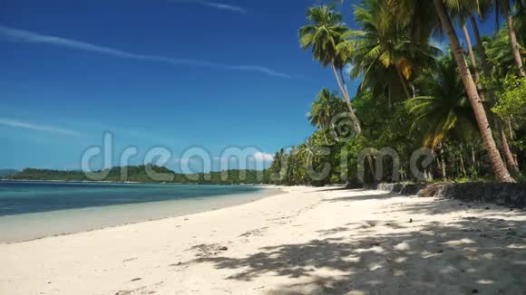 美丽的热带海滩椰树白沙碧水视频的预览图