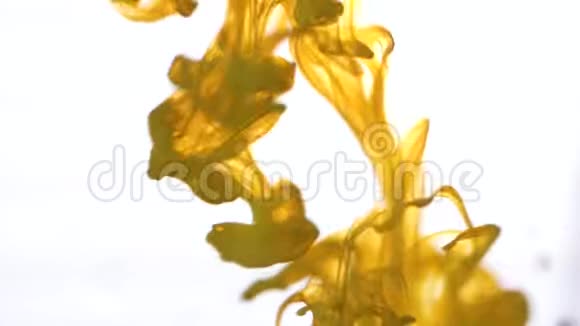 在白色背景的水中涂抹彩色墨水五颜六色黄色的抽象烟雾从上往下飘视频的预览图