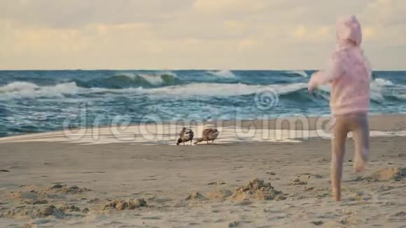 两个可爱的小女孩在沙滩上跑着喂鸭子视频的预览图