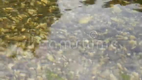 河床上的卵石视频的预览图