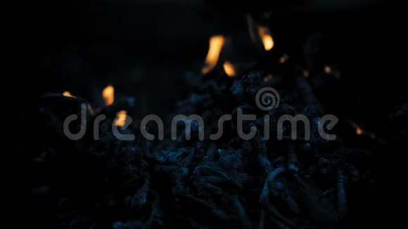 黑暗中的篝火视频的预览图