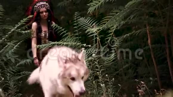 性感狂野的印度女孩背景岩石热带丛林从皮肤上适应野蛮辫子视频的预览图