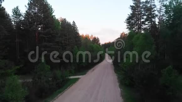 森林里的乡间小路视频的预览图