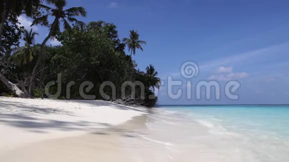 马尔代夫岛视频的预览图
