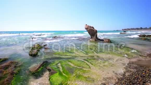 海滩上的岩石和苔藓视频的预览图