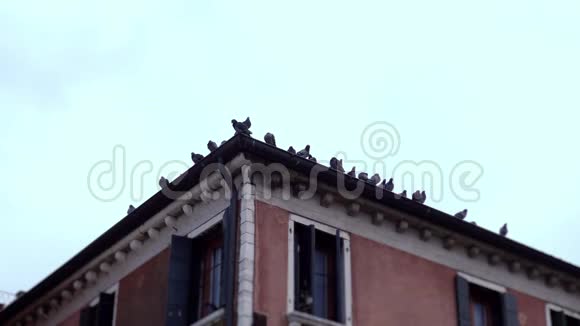 建筑物屋顶上的凹槽视频的预览图
