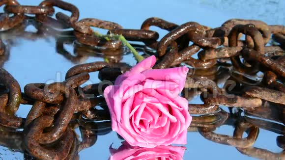 玫瑰和锁链自由录像视频的预览图