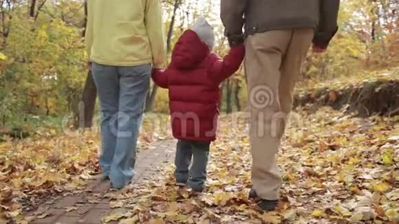 秋天和祖父母一起散步的小男孩视频的预览图