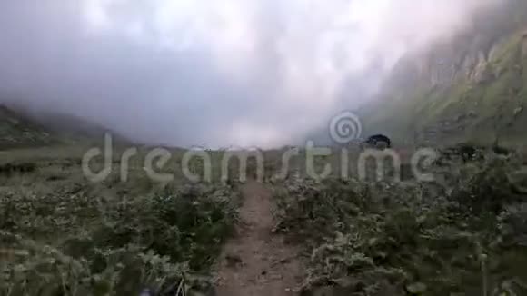 小径在山谷中奔跑视频的预览图