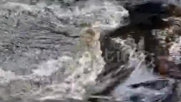 水流运动视频的预览图