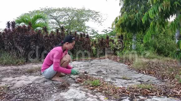 亚洲女人打扫公园视频的预览图