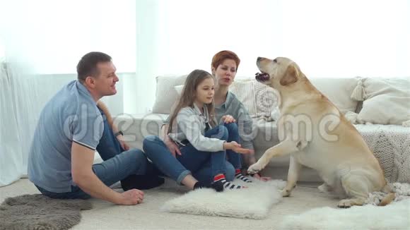一家人在家玩狗视频的预览图