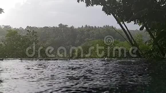 森林里的雨乌布巴厘岛视频的预览图