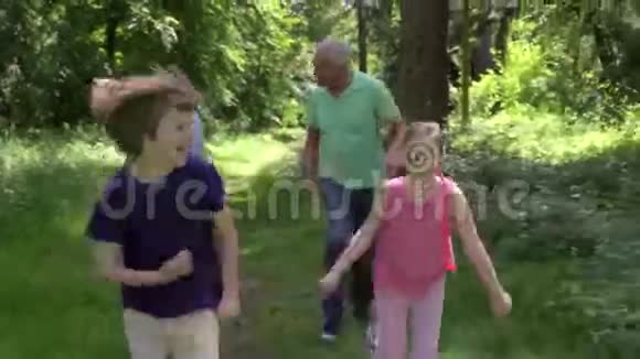 祖父母沿着林地小径追逐孙子视频的预览图