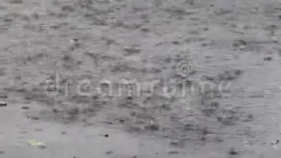 水坑里下大雨视频的预览图