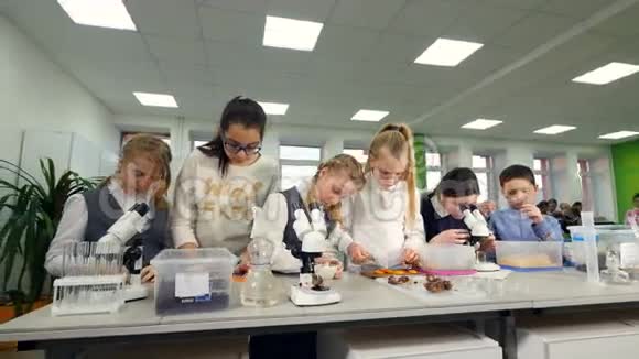 小学生物课孩子们在学校实验室学习生物化学视频的预览图