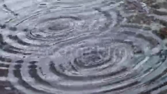 水滴圈视频的预览图