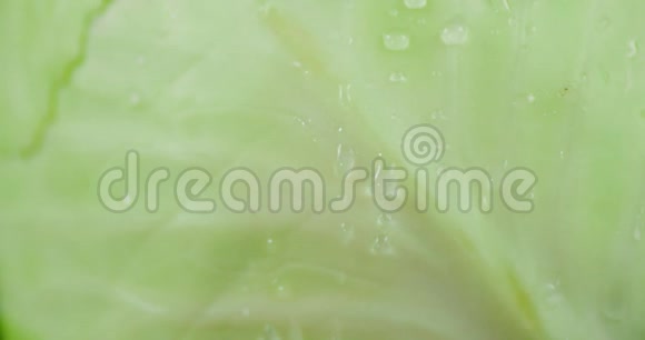 卷心菜和水滴视频的预览图