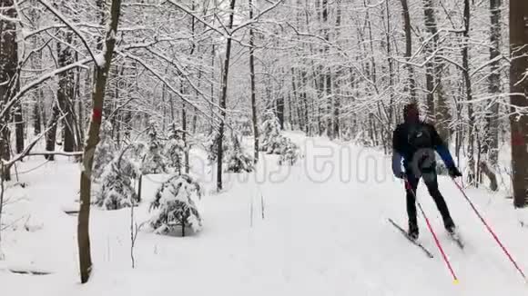 在森林里滑雪视频的预览图