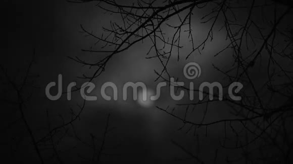 黑暗的月亮是恐怖的故事视频的预览图