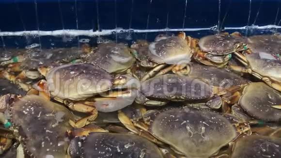 TT中国超市里的活螃蟹运动视频的预览图