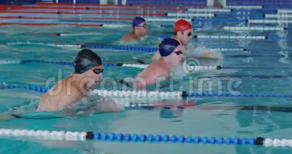 游泳者游进游泳池视频的预览图