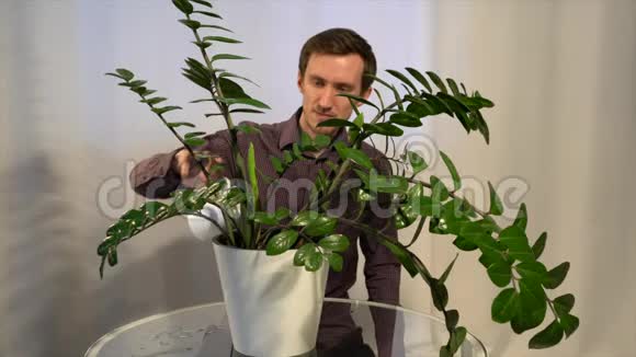 一个男人正在给一个家里的植物浇水视频的预览图