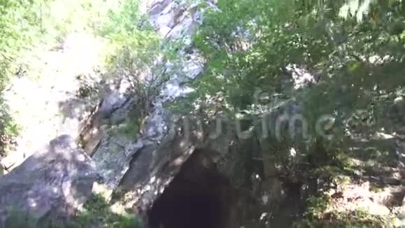 森林中的黑暗洞穴太阳视频的预览图