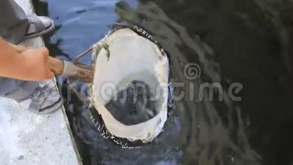 在土耳其的池塘里饲养虹鳟鱼苗视频的预览图