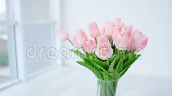 花瓶里的粉红色郁金香视频的预览图