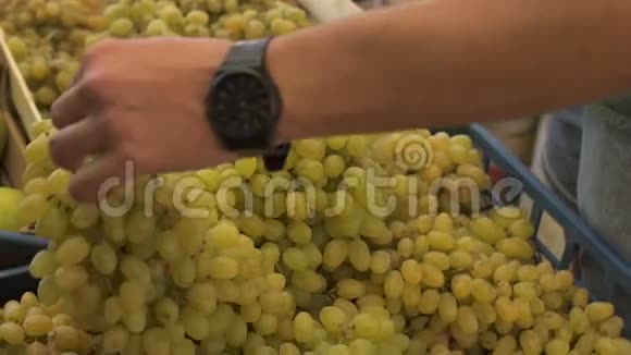 近距离观看年轻人在水果市场挑选葡萄的手视频的预览图
