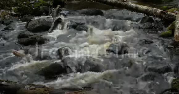 流石河视频的预览图