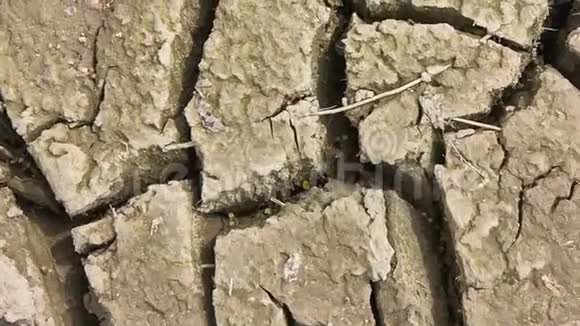 地面的裂缝视频的预览图