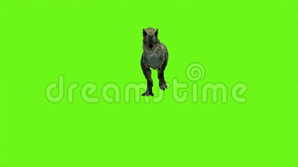 霸王龙恐龙动画上的绿色画面很现实的渲染4k视频的预览图
