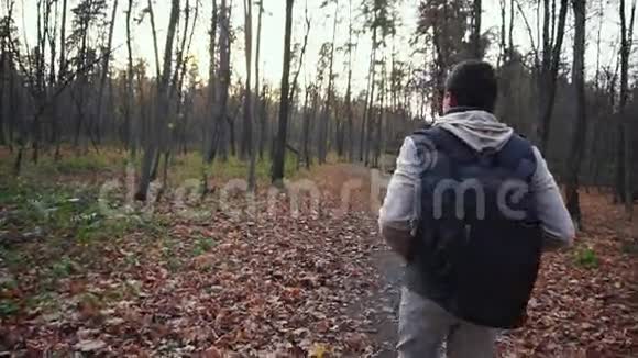 成年男子沿着秋天的森林散步以获得对自然的新印象视频的预览图