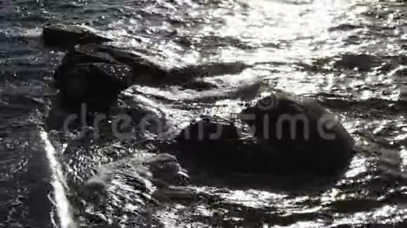 海岸上的海洋涟漪视频的预览图