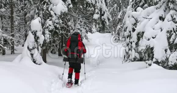 穿着雪鞋带背包的徒步旅行者视频的预览图